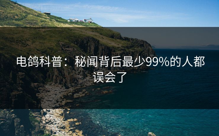电鸽科普：秘闻背后最少99%的人都误会了