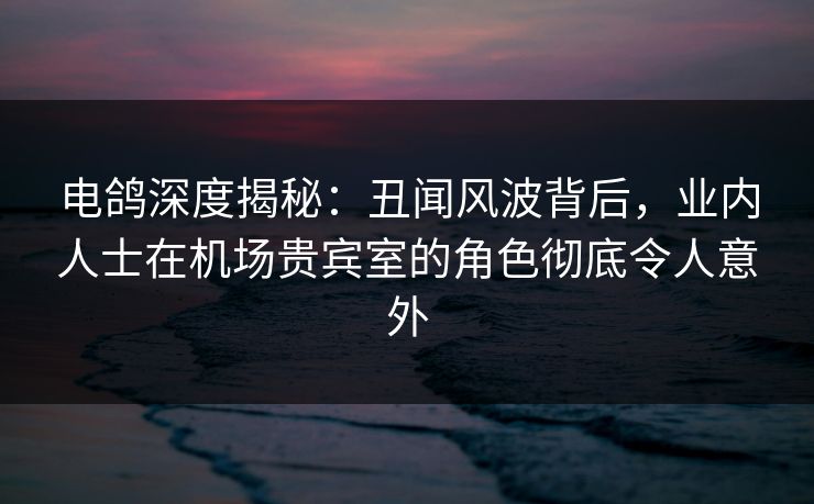 电鸽深度揭秘：丑闻风波背后，业内人士在机场贵宾室的角色彻底令人意外