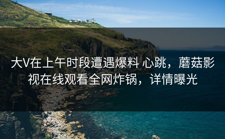 大V在上午时段遭遇爆料 心跳，蘑菇影视在线观看全网炸锅，详情曝光